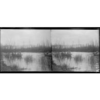 Pogny près de Châlons sur Marne. Exercices de pontonniers sur la Marne (janv.1917). [légende d'origine]