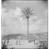 Plan d'ensemble d'autorités militaires et civiles rassemblées sur une place, autour du palmier solitaire, le palmier d'Abd-el Kader, à Ghazaouet.
