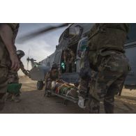 Embarquement d'un soldat blessé à bord d'un hélicoptère de transport EC-725 Caracal par les aviateurs de l'escadron 1/67 Pyrénées, dans le cadre d'un exercice MEDEVAC (medical evacuation) ou EVASAN (évacuation sanitaire), au milieu de la brousse africaine.
