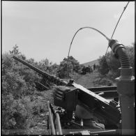 Début d'une opération dans le djebel Nadar (secteur de Terny, Sud de Tlemcen) avec des unités blindés.