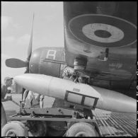 Montage d'une bombe au napalm sous l'aile d'un avion Bearcat par des armuriers du groupe de chasse 1/8 Saintonge.