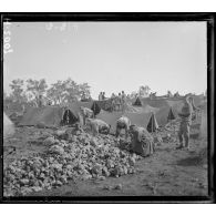 Activités militaires dans les camps alentours de Corfou, mars 1916.