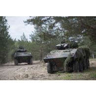Deux véhicules blindés de combat d'infanterie (VBCI) du 16e bataillon de chasseurs (16e BCh) progressent lors d'un exercice au sein du camp de Pabradé, en Lituanie.