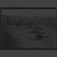 Entre Kilindir et Doïran. Cadavres de chevaux tués par les obus bulgares. [légende d'origine]