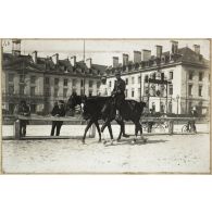 Saumur, mai et juin 1910 - Cours des chefs d'escadrons - Sur le Chardonnet (de la Motterouge et moi). [légende d'origine]