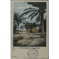 3 - Colonie du Dahomey - Paysage Cotonou. Cliché M. O. [légende d'origine]