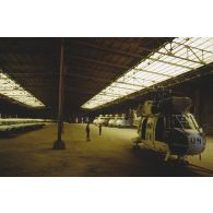 Les hélicoptères Puma, démunis de leurs pales, sont stockés dans un hangar.