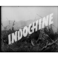 Indochine, novembre 1953 - juin 1954.