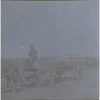 [Mission d'observation du chef de bataillon Albert d'Amade pendant la guerre du Transvaal : un chariot et son conducteur].