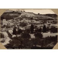Jerusalem. Jardin de Gethsemani. [légende d'origine]