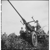 Lors d'une école à feu du 411e RAAA  (régiment d'artillerie antiaérienne) de la DMC (division de marche de Constantine), des artilleurs chargent un canon de 40 mm Bofors.