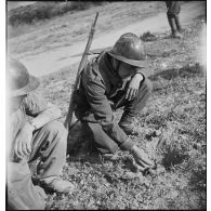 Des sapeurs du 19e RG (régiment du génie) neutralisent une mine antipersonnel allemande, avec détonateur à traction ; l'un d'entre eux goupille la mine après avoir excavé la terre autour de l'engin.