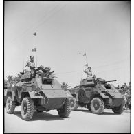 Défilé d'automitrailleuses britanniques Humber lors de la cérémonie célébrant la victoire alliée à l'issue de la campagne de Tunisie.