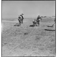 Découverte d'une mine lors d'une séance d'instruction à la détection pour des sapeurs du 19e RG (régiment du génie), équipés de détecteurs de mines SCR-625.