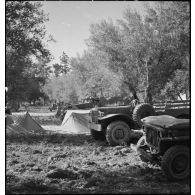 Véhicules (jeep Ford GPW, Dodge T214, scout-car M3A1) du 3e RSAR (régiment de spahis algériens de reconnaissance) dans un campement lors d'une manoeuvre d'entraînemnet du CEF (corps expéditionnaire français) dans le Sud algérien.