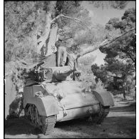 Camouflage d'un char léger Stuart M5A1 du 3e RSAR (régiment de spahis algériens de reconnaissance) dans un cantonnement pendant une manoeuvre du CEF (corps expéditionnaire français).