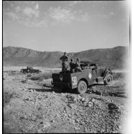 Scout-cars M3A1 du 3e RSAR déployés lors d'une manoeuvre dans la région de Batna.