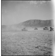 Progression d'obusiers de 75 mm M8 et de chars légers Stuart M5A1 de la 3e DIA (division d'infanterie algérienne) lors d'une manoeuvre dans le cadre d'un entraînement du CEF (corps expéditionnaire français) avant son engagement sur le front italien.