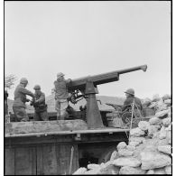 Chargement et mise en batterie par des artilleurs du 62e RAA (régiment d'artillerie d'Afrique) d'un canon de 75 mm, modèle 1915, monté sur un affût marine et une remorque dans le secteur de Bou Arada.