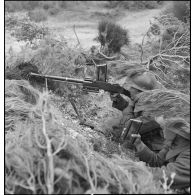 Des tirailleurs du 7e RTA (régiment de tirailleurs algériens) de la DMC (division de marche de Constantine) sont postés en position de tir avec un fusil-mitrailleur 24/29 dans le secteur de Bou Arada.