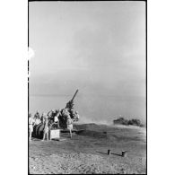Tir d'un canon de 90 mm des FTA (forces terrestres antiaériennes) du CEF (corps expéditionnaire français) lors d'une manoeuvre.