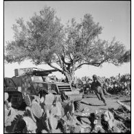 Dans le secteur de Fondouk el-Okbri, des soldats d'un bataillon de chasseurs de chars de la 1re DB (division blindée) du 2e CA (corps d'armée) américain, courent vers leur canon automoteur M3 GMC, canon de 75 mm monté sur châssis d'half-track M3.