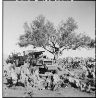 Dans le secteur de Fondouk el-Okbri, des soldats d'un bataillon de chasseurs de chars de la 1re DB (division blindée) du 2e CA (corps d'armée) américain, embarquent a bord de leur canon automoteur M3 GMC, canon de 75 mm monté sur châssis d'half-track M3.
