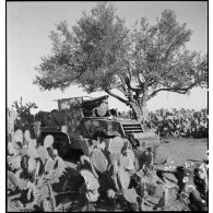 Dans le secteur de Fondouk el-Okbri, un automoteur M3 GMC, canon de 75 mm monté sur châssis d'half-track M3 d'un bataillon de chasseurs de chars de la 1re DB (division blindée) du 2e CA (corps d'armée) américain.