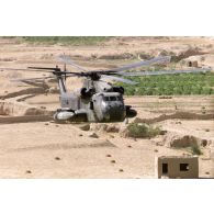 Hélicoptères Sikorsky CH-53 du détachement allemand survolant un paysage afghan.
