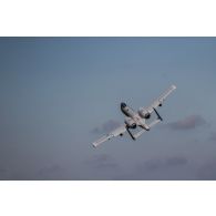 Un avion bombardier Fairchild Republic A-10 Thunderbolt II survole le terrain d'aviation de Tapa, en Estonie.