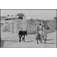 Femmes du camp d'El Hinniyah.