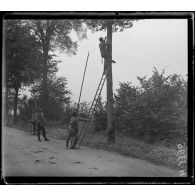Route de Montdidier à Amiens. Fixation du cable sur arbre. [légende d'origine]