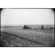 Des soldats réquisitionnés labourent un champ à l'aide d'une charrue portée dans une zone évacuée de la 4e armée.