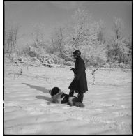 Un officier de la 5e armée est photographié en pied tenant un chien saint-bernard en laisse couché à ses côtés.