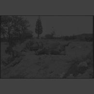 Le cadavre d'un cheval d'un convoi hippomobile allemand gisant sur le bord de la route nationale 7, tué lors de la bataille de Montélimar en août 1944.