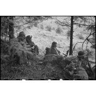 Goumiers du 2e GTM, armés de pistolets-mitrailleurs Thompson M1A1, à leur poste de guet dans la forêt vosgienne lors de la progression de la 3e DIA vers Rochesson entre le 3 et le 5 novembre 1944.