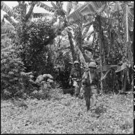 Progression sous bois en bordure du village de Vong Tan lors de l'opération Camélia.