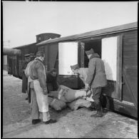 Des soldats déchargent des quartiers de viandes d'un wagon.