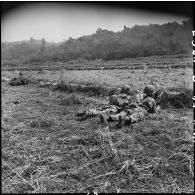 Légionnaires du 1er bataillon étranger de parachutistes (BEP) postés au sol dans une rizière sèche lors d'une patrouille à l'ouest de Diên Biên Phu.