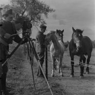 [Une équipe du SCA (Service cinématographique de l'armée) filme avec une caméra Bell et Howell 35 mm sur trépied des chevaux ramenés dans un enclos à Hunting (Moselle), 18-22 octobre 1939.]