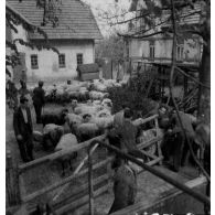 [Gestion d'une bergerie dans un quartier de Hambourg, s.d.]