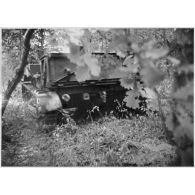 Plan rapproché d'une chenillette de ravitaillement Renault 31R (ou Renault UE) d'une unité de la 2e armée qui se déplace dans un sous-bois.