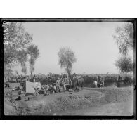 (Klestina). Campement d'artillerie. 15 octobre 1916. [légende d'origine]