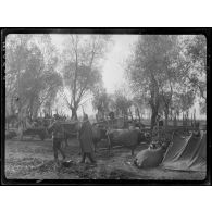 (Vostaran). Camp serbe. 1er novembre 1916. [légende d'origine]