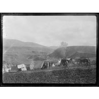 (Près de la Tchema). Camp serbe. 2 novembre 1916. [légende d'origine]