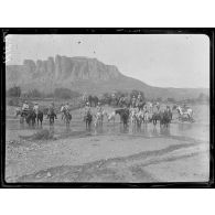 Kalabaka (Thessalie). Chevaux des spahis marocains à l'abreuvoir. (Juin 1917). [légende d'origine]