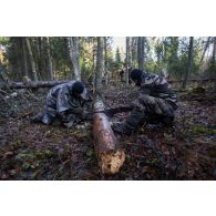 Des soldats scient un tronc d'arbre en forêt de Järvama, en Estonie.