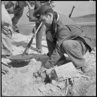Déterrement d'une mine antipersonnel de fabrication artisanale par un sergent-chef du génie sur la route coloniale n°1 au Tonkin.