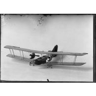 [Paris. Musée de la Guerre. Modèle réduit d'un avion allemand.]