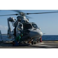 L'équipage de la frégate de surveillance Ventôse prépare un hélicoptère Panther AS-565 de la flottille 36F pour une mission en mer des Caraïbes.